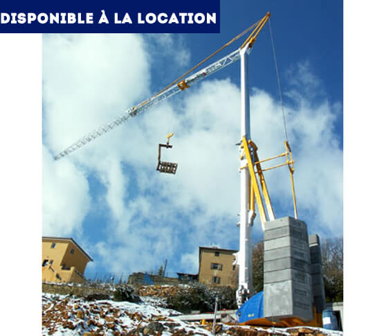 grue-montage-automatise-potain-igo-22-dispo-location-2