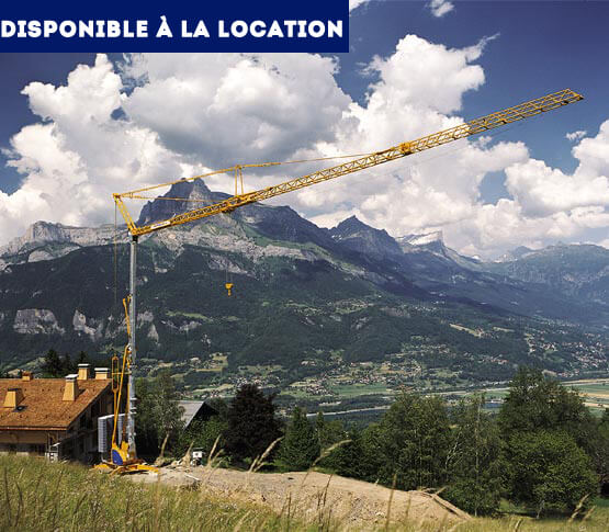 grue-montage-automatise-potain-igo-50-disp-location-4